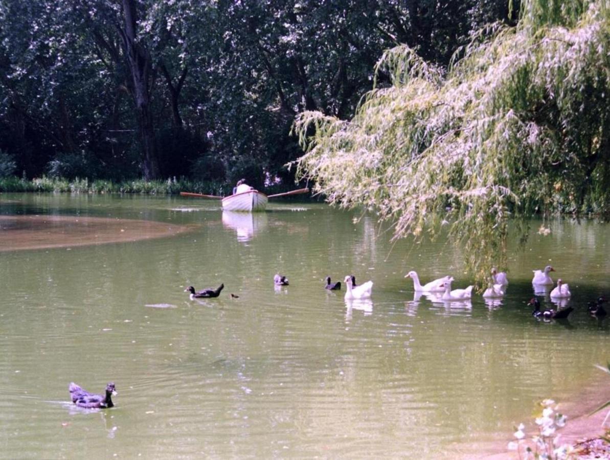 Villa Casa Dos Capinha Caldas Da Rainha Esterno foto